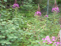 100_1672.jpg